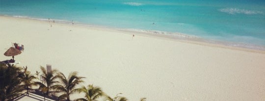 Flamingo Cancun Resort And Plaza is one of Posti che sono piaciuti a Priscilla.