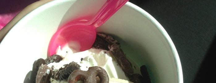 Mickey's Yogurt is one of Places to go in Witchita.