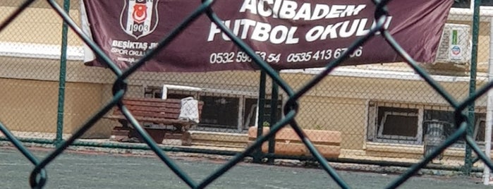 Besiktas Acibadem Altyapi Futbol Okulu is one of สถานที่ที่ Yusuf Selcuk ถูกใจ.