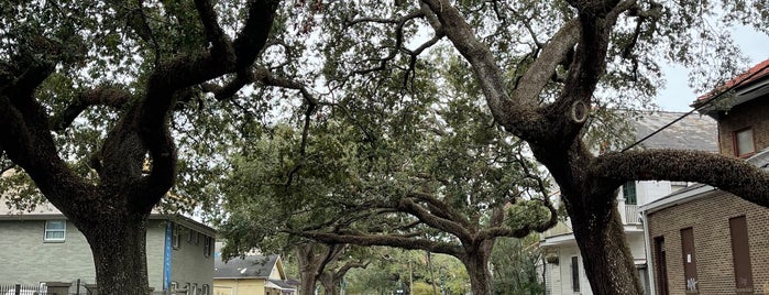 Old Road Coffee is one of New Orleans.