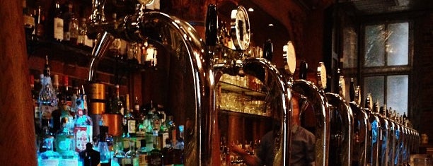 Stoddard's Fine Food & Ale is one of Craft beer bars in Boston & Cambridge.