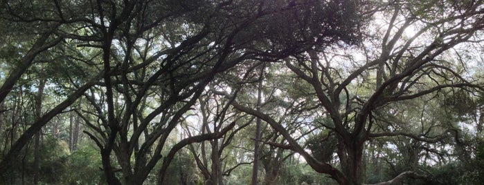 Kleb Woods Nature Preserve is one of Places To Visit In Houston.