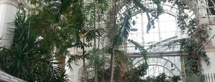 Palmenhaus is one of Вена_кафе.