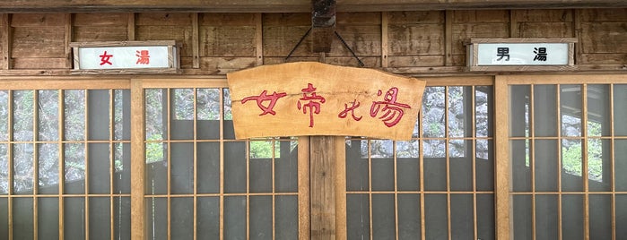 奈良田の里温泉 is one of 温泉.