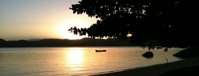 Praia da Ponta do Leal is one of Praias de Florianópolis.