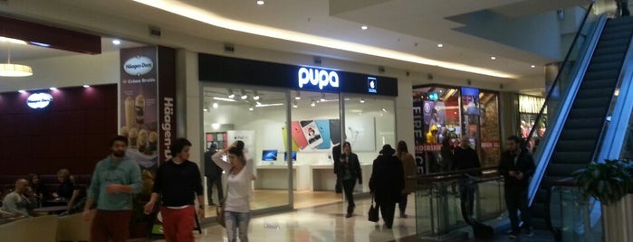 Pupa is one of Apple Stores around the world.