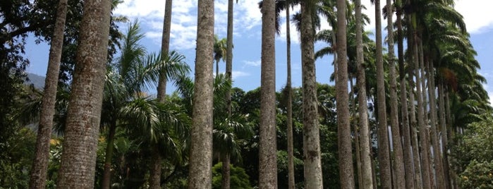 Jardim Botânico do Rio de Janeiro is one of Rio de Janeiro.