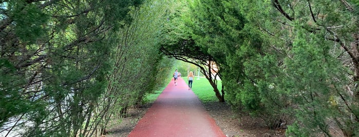 End of Katy Trail is one of Lugares favoritos de thewandering1.