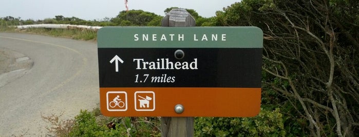Sneath Ln is one of local.