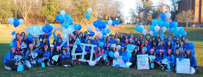 Alpha Delta Pi is one of Chapter Roll Call.
