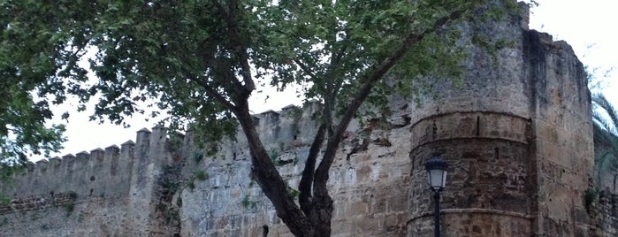 Muralla del Castillo-Alcazaba is one of Malaga - Marbella - Estepona.