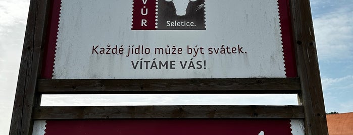 Dvůr Seletice is one of Restaurace.