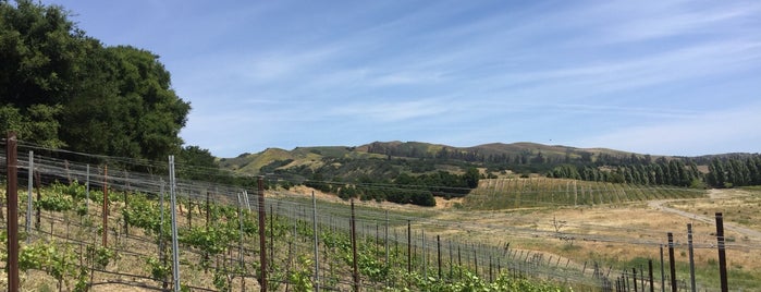 Babcock Winery and Vineyards is one of Santa Barbara/Ojai.