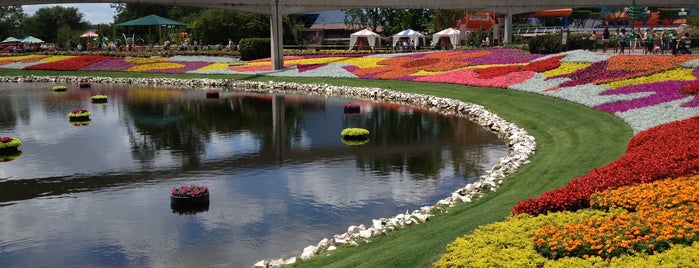 Epcot International Flower & Garden Festival 2013 is one of Om Nom Nom.