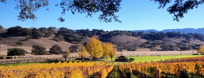 Rusack Vinyards is one of Santa Barbara Wine Tasting.