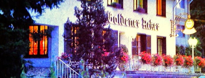 Hotel Goldener Acker is one of Favoriten.