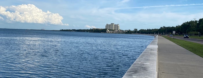 Bayshore Boulevard is one of Chris's Saved Places.