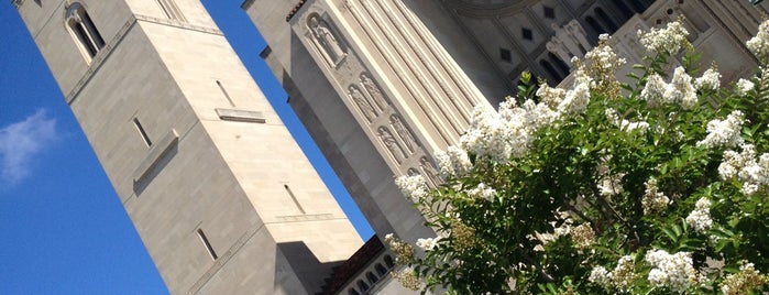 Basilica Of The National Shrine Of The Immaculate Conception is one of Places To be.