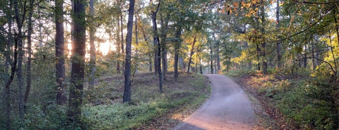 Cold Harbor Battlefield Visitor Center | Richmond National Battlefield Park is one of Kimmieさんの保存済みスポット.