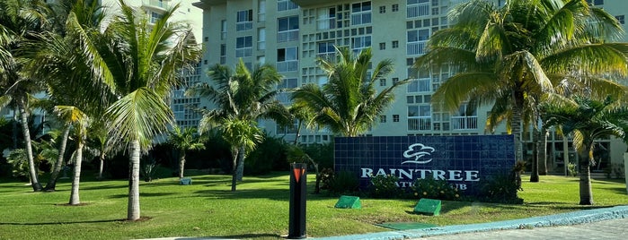 Raintree's Club Regina Hotel Cancun is one of Lugares Cancún.