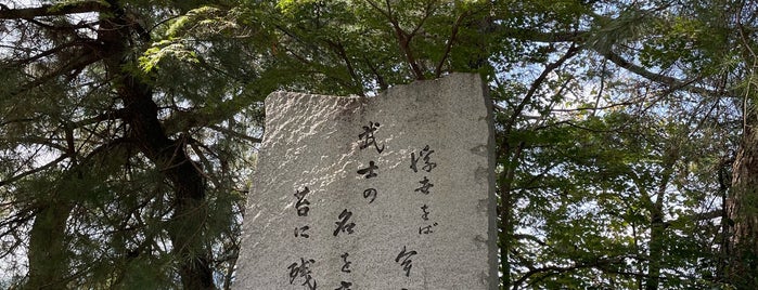 Takamatsu Castle Ruins is one of 岡山に行ったらココに行く！ Vol.1.