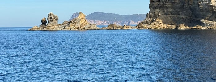 Playa Illa des Bosc is one of Playas de Ibiza.