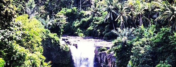 Air Terjun Tegenungan is one of Водопады | BALI | Waterfalls.