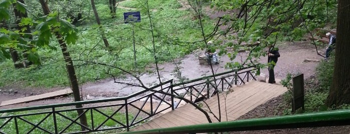 Родник «Царевна-Лебедь» is one of สถานที่ที่ Galina ถูกใจ.