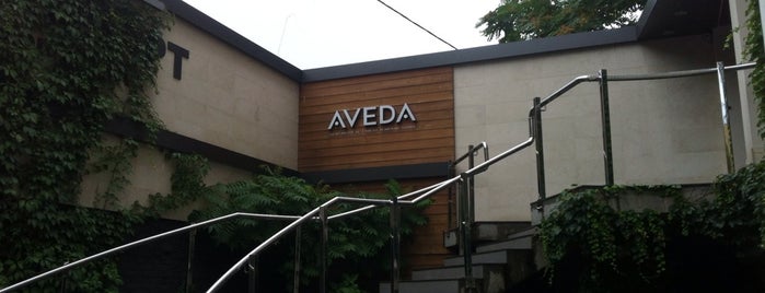 Aveda is one of Orte, die Елена gefallen.