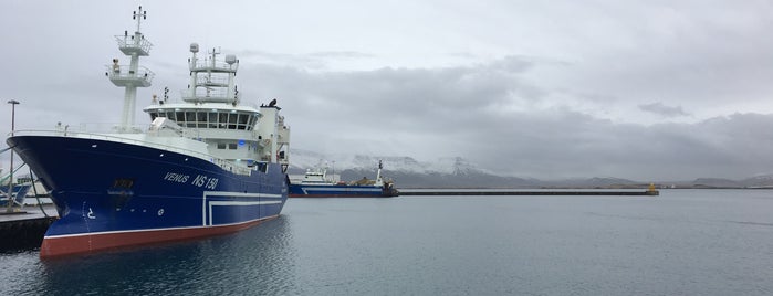 Elding Whale Watching is one of Lugares favoritos de Fred.