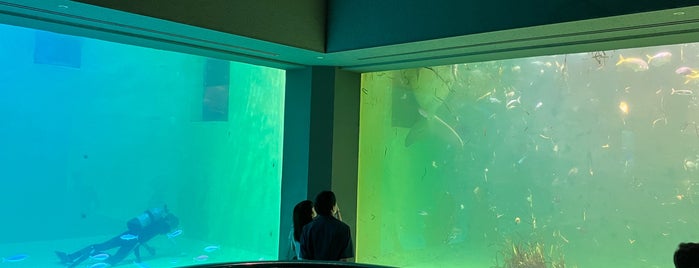 Toba Aquarium is one of 伊勢.