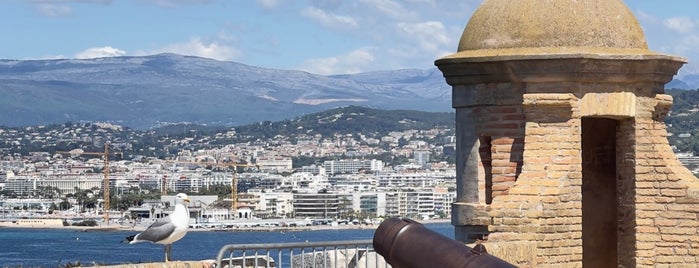 Fort Royal | Musée de la Mer is one of Cannes.