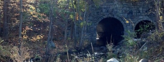 Ogdensburg Backwards Tunnel is one of town/street/light.