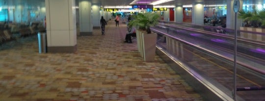 Singapore Changi Airport (SIN) is one of Singapore with Cyn.