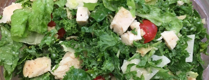 salad / lunch