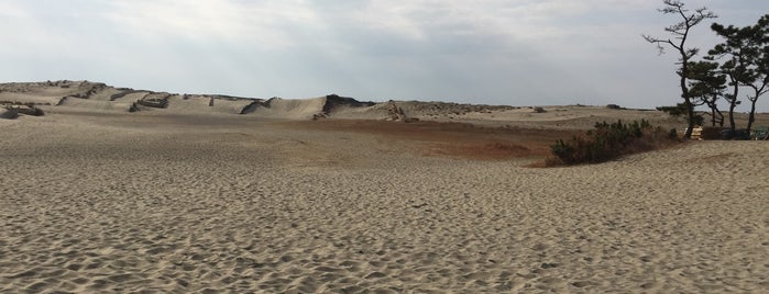 Nakatajima Sand Dune is one of [todo] Shizuoka.