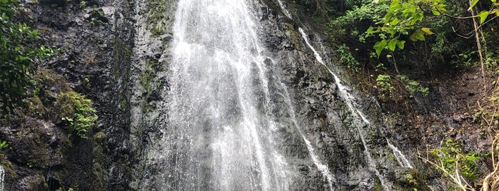 Hama Hama Falls is one of Oahu.