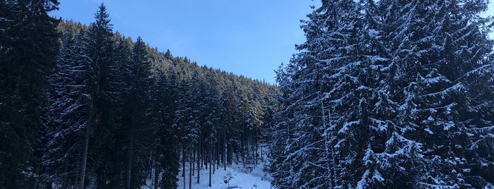 Bansko Ski Fest is one of Tempat yang Disukai Cenker.