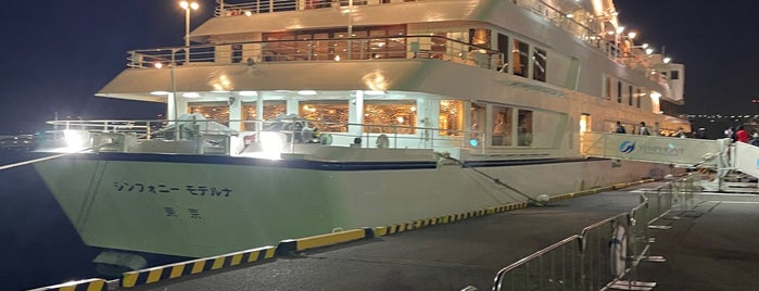 Symphony Cruise Hinode Terminal is one of 東京旅行.