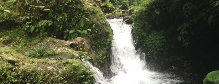 Gitgit Waterfall is one of our honeymoon list.