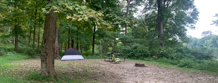 Worthington State Forest is one of Camping and Glamping.