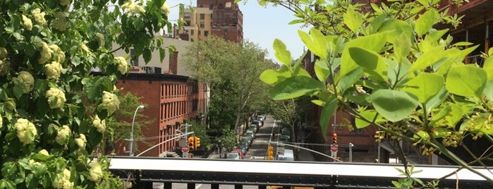 High Line is one of Standard NYC.