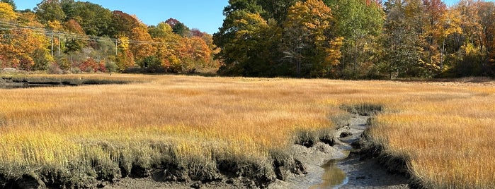 Fore River Sanctuary Trail is one of New England.