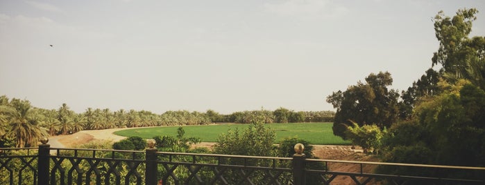 Al Ballaa farm is one of Nouf’s Liked Places.