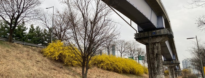 Jamwon Hangang Park is one of Seoul Recommendations.
