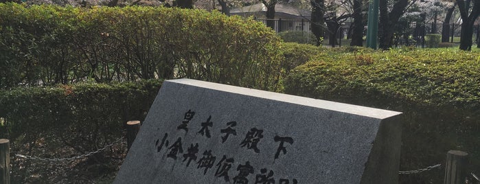 皇太子殿下小金井御仮寓所跡 is one of 都下地区.