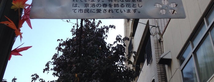 仁和寺街道 is one of 京都の街道・古道.