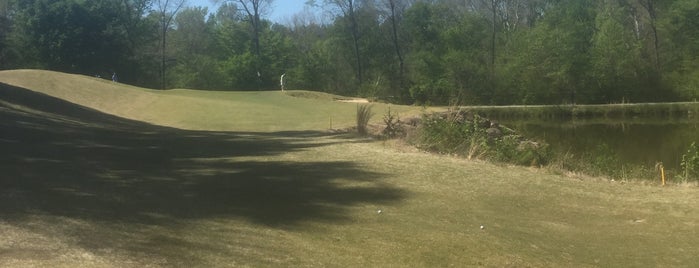 River Ridge Golf Club is one of Courses i'v played.