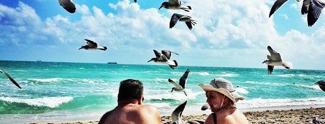 Beach @ South Seas Hotel is one of USA (Florida & Miami).