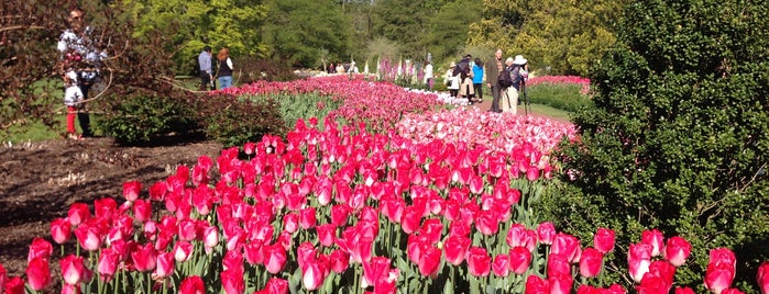 Longwood Gardens is one of West Chester eats and tdl.